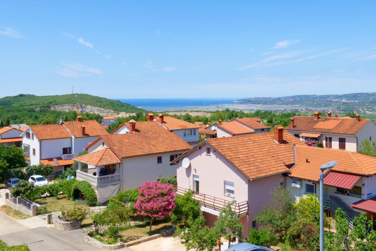 Apartments Belvedere By Rent Istria Plovanija Bagian luar foto